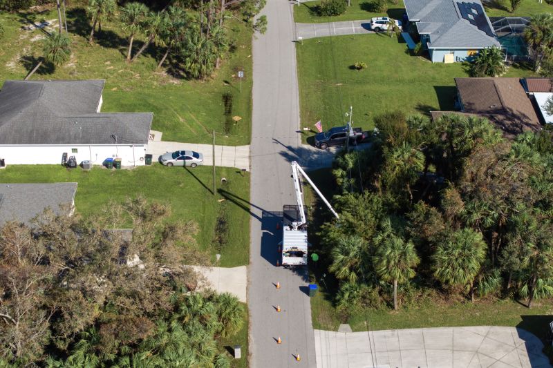 Magnolia Tree Trimming