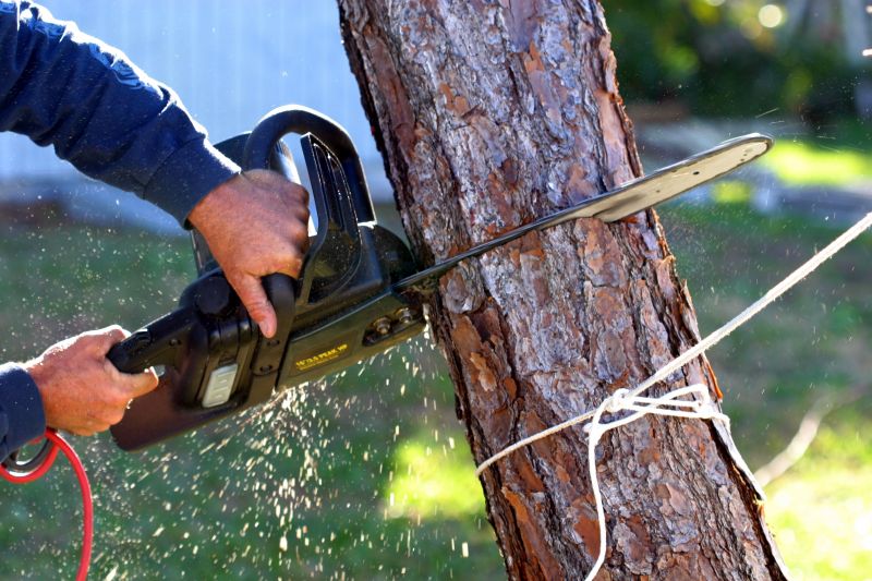 Branch Removal Process