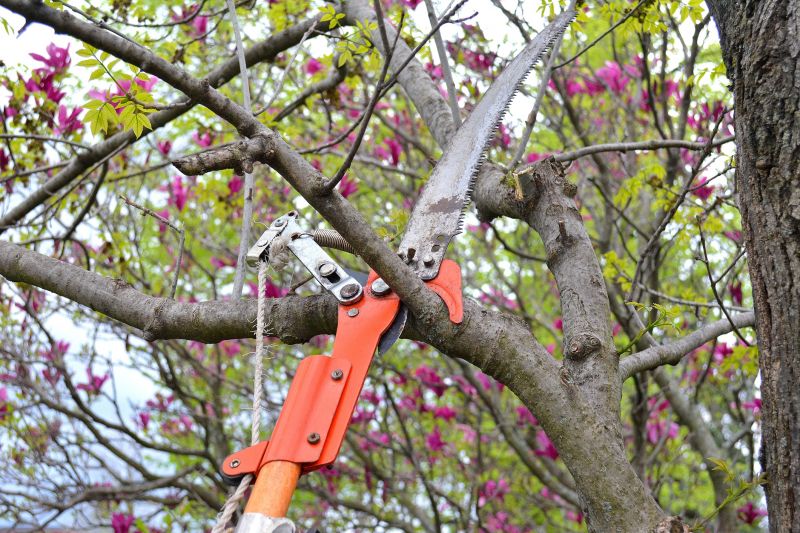 Pruning Tools for Magnolia Trees